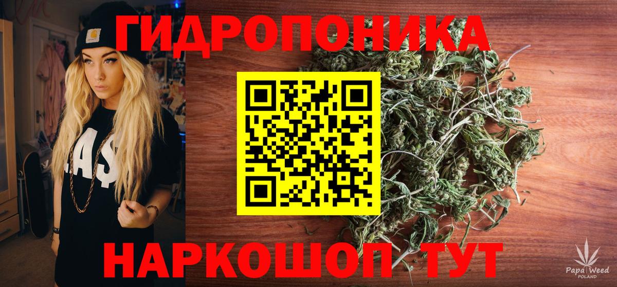 Каннабис план  Вход с VPN  Марихуана LSD WEED  Конопля сатива  Пенза  Бошки Шишки ГИДРОПОН 